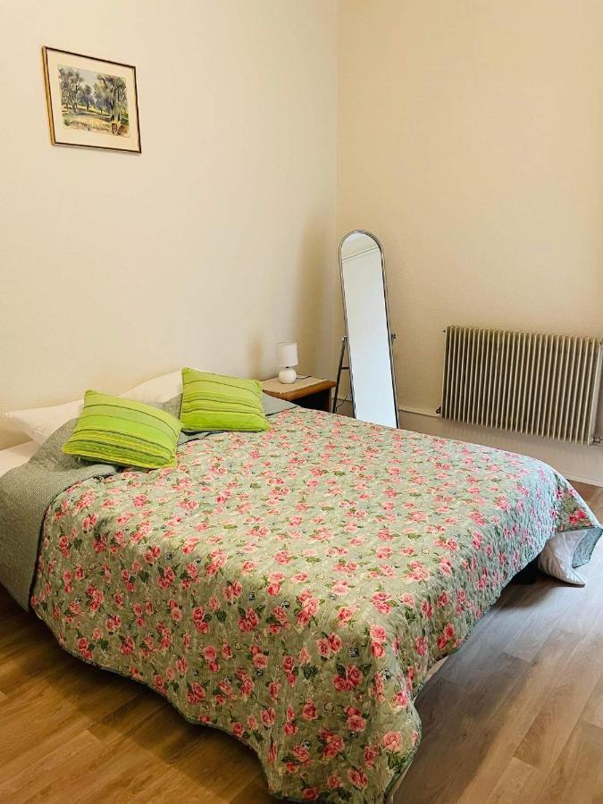 Appartement Cosy Colmar Bagian luar foto